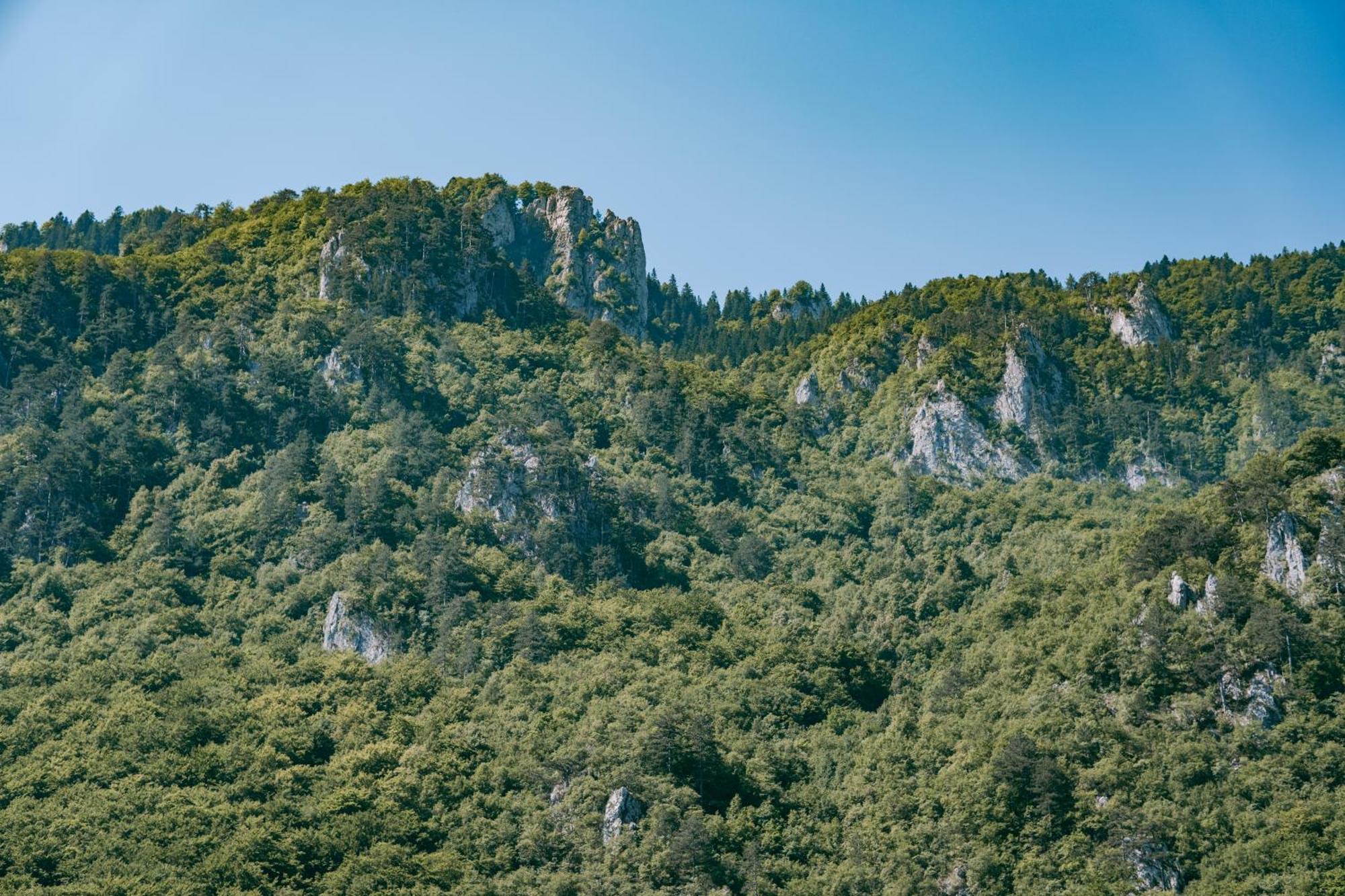 Отель Vucja Gora Фоча Экстерьер фото